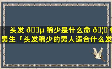 头发 🌵 稀少是什么命 🦍 格男生「头发稀少的男人适合什么发型图片」